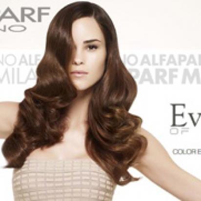 Alfaparf product: Evolution